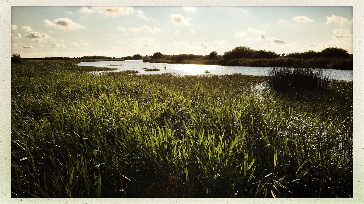 Abendstimmung in der Skjern Enge