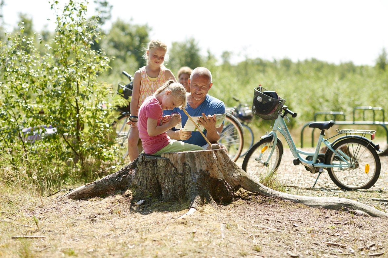 Spätsommer in Dänemark