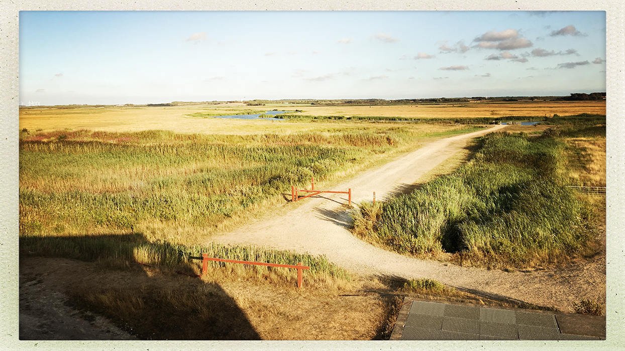 Aussicht von der Pumpstation Nord über die Skjern Enge