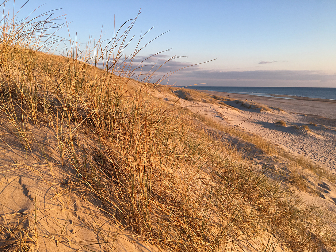 Düne bei Mettes Bjerg in Aargab