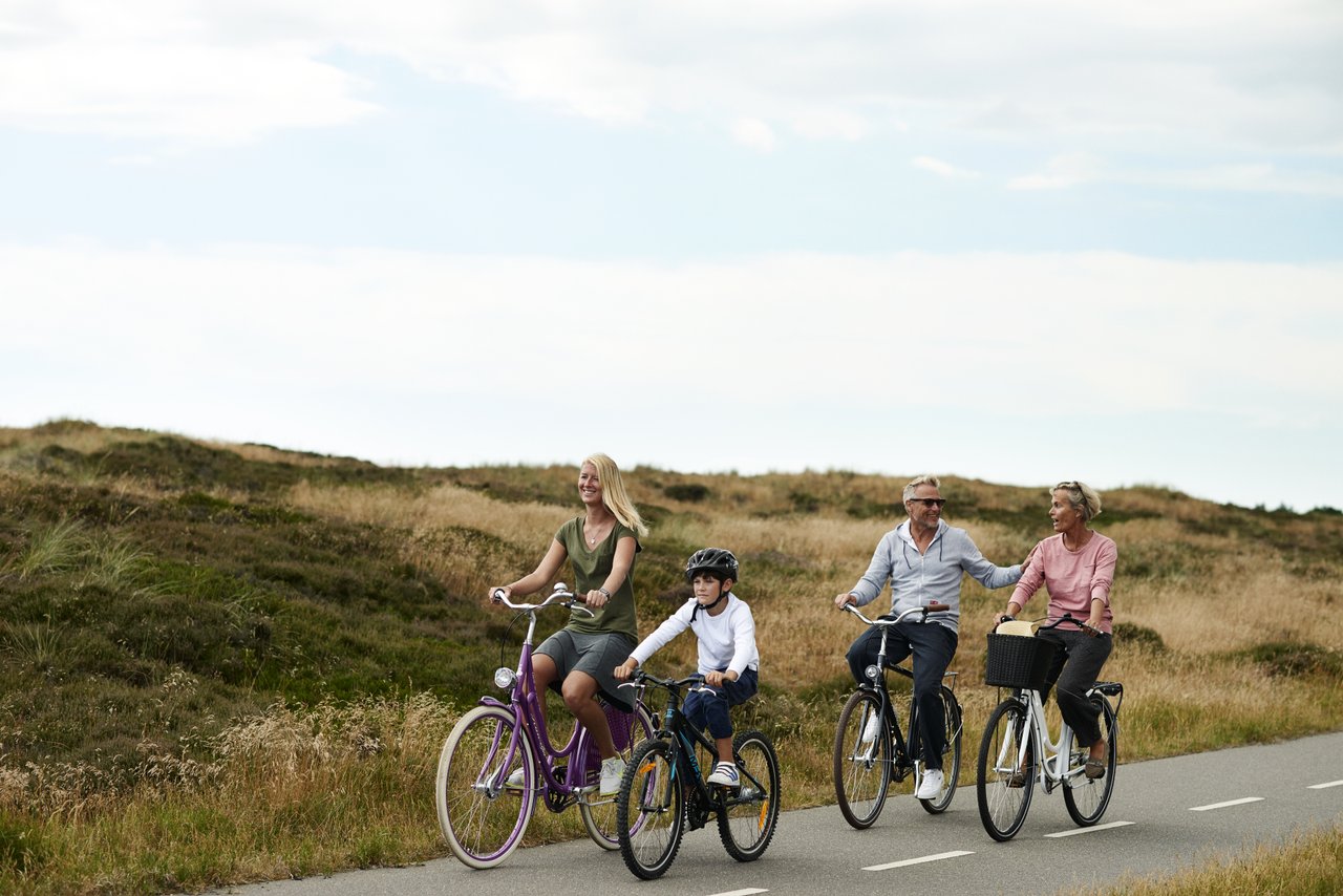 Fanoe Biking Family medium