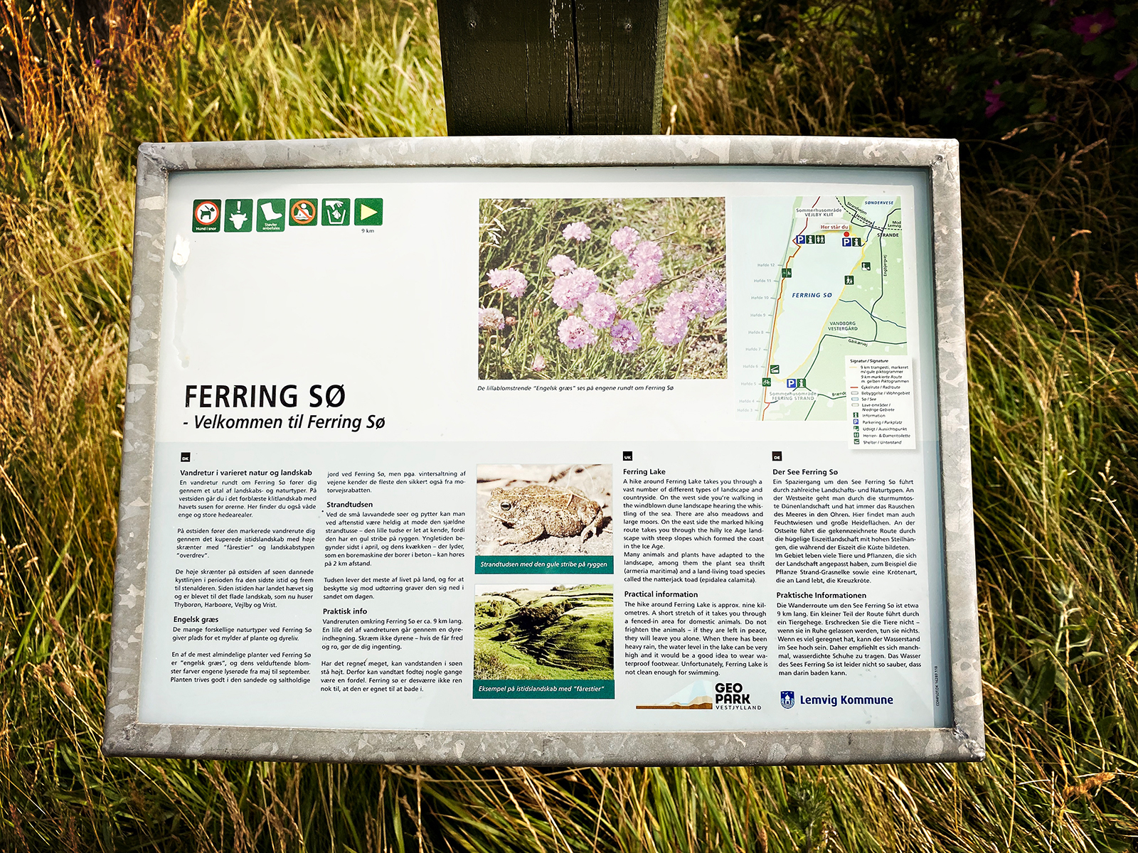 Infotafel am Ferring See