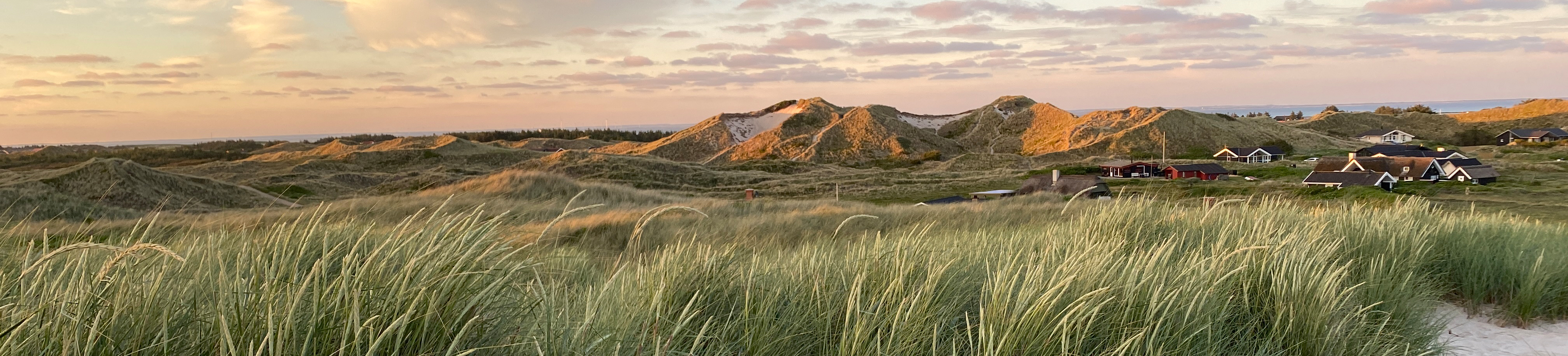 Dünenlandschaft in Haurvig