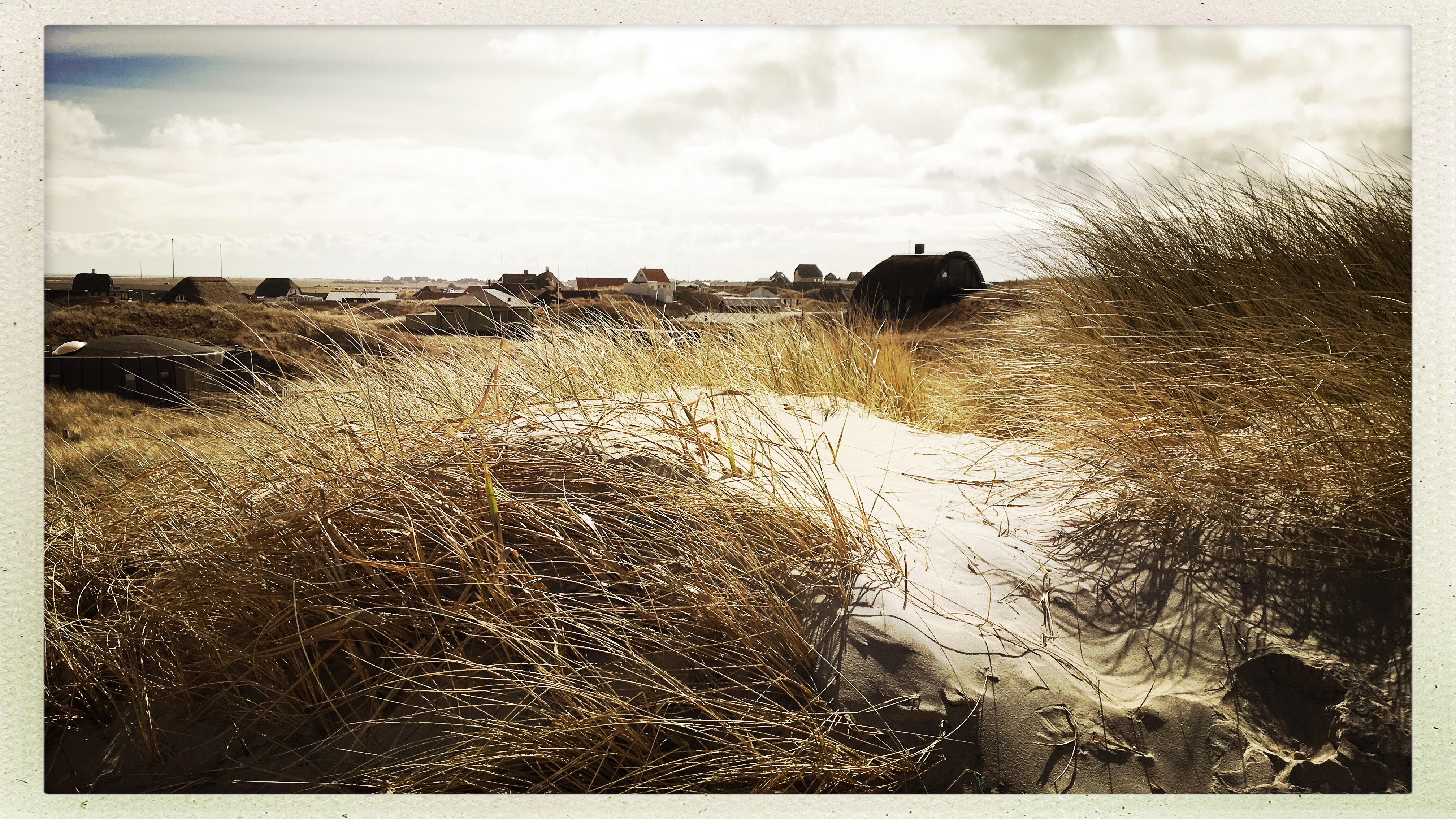 Ferienhäuser an der dänischen Nordsee - Sondervig