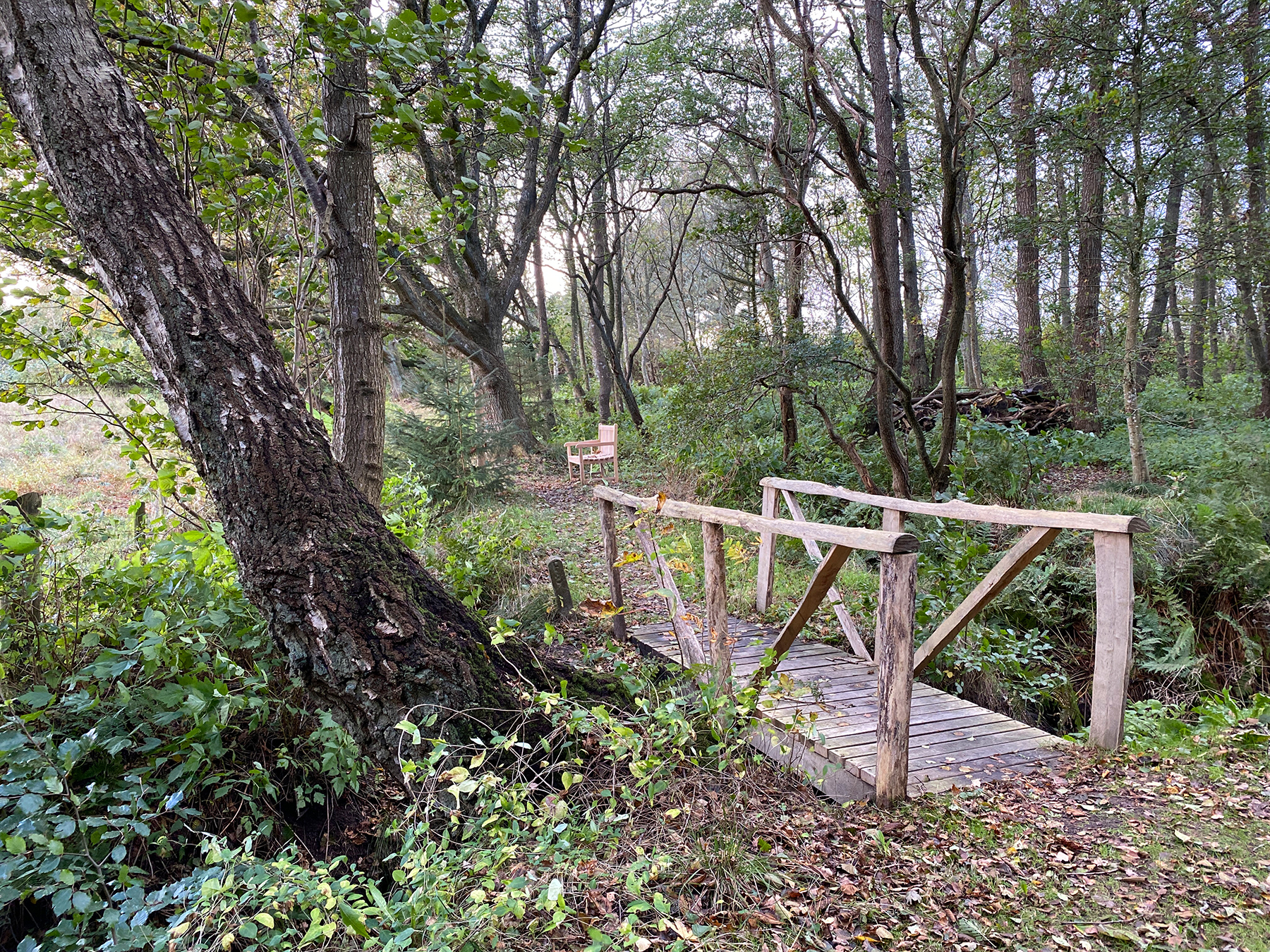 Kaj Munks Park