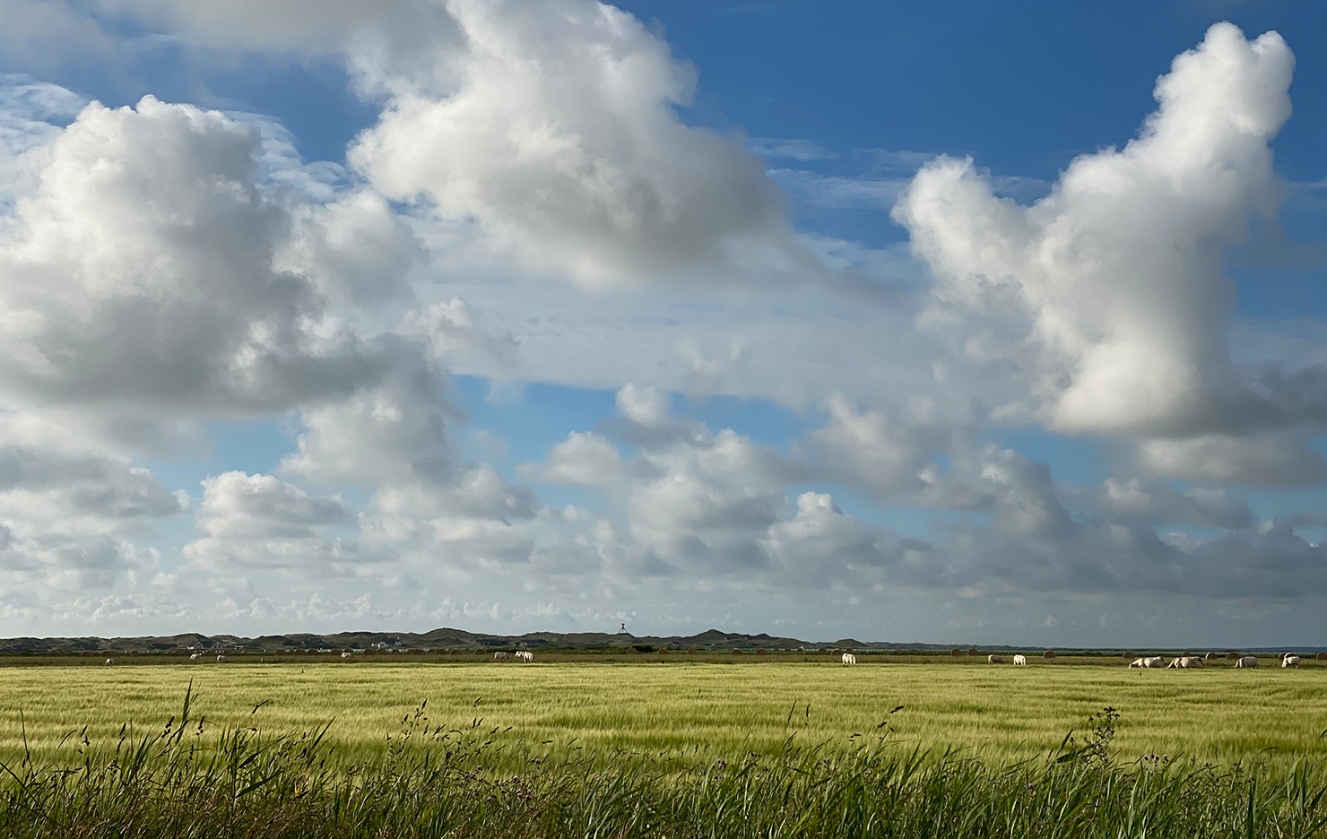 Natur in Midjütland