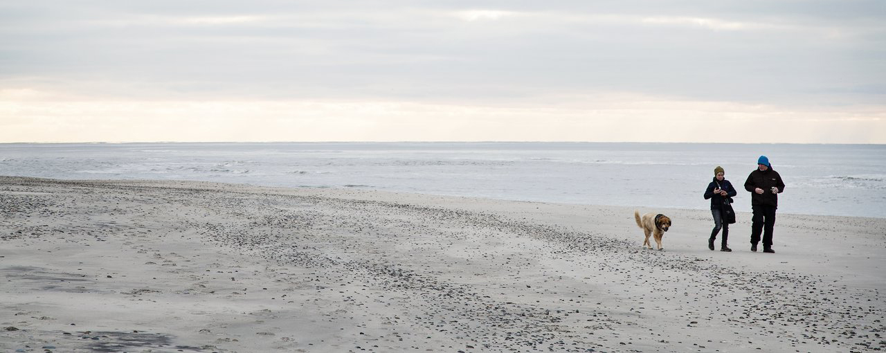 Ferienhäuser an der dänischen Nordsee mit Hunden mieten