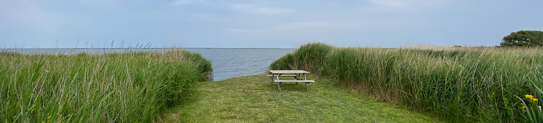 Picknickplatz am Ringkobing Fjord