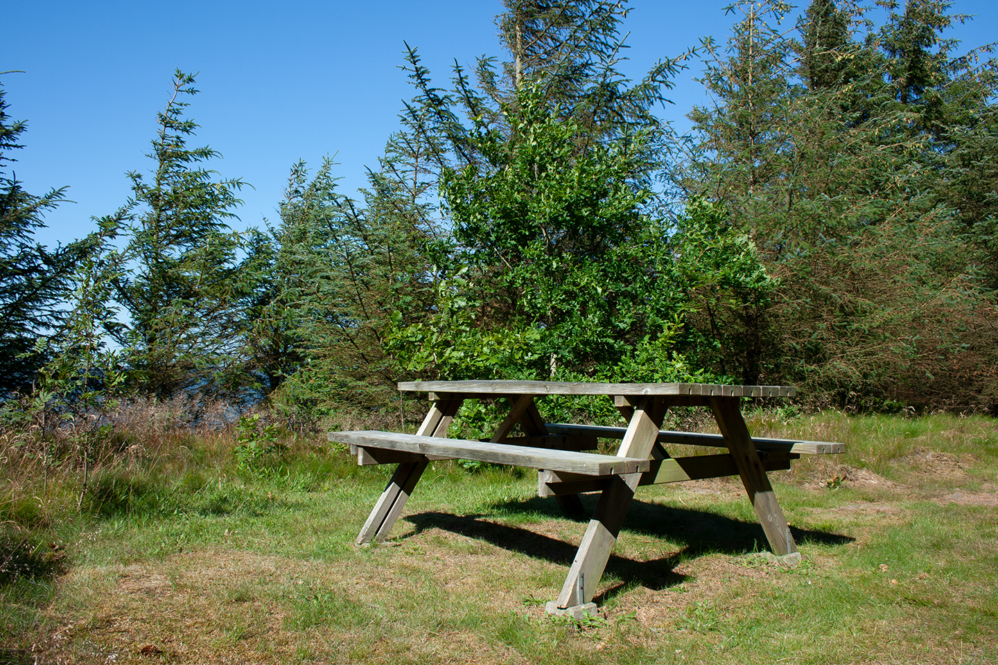 Picknickplatz Nissum Fjord