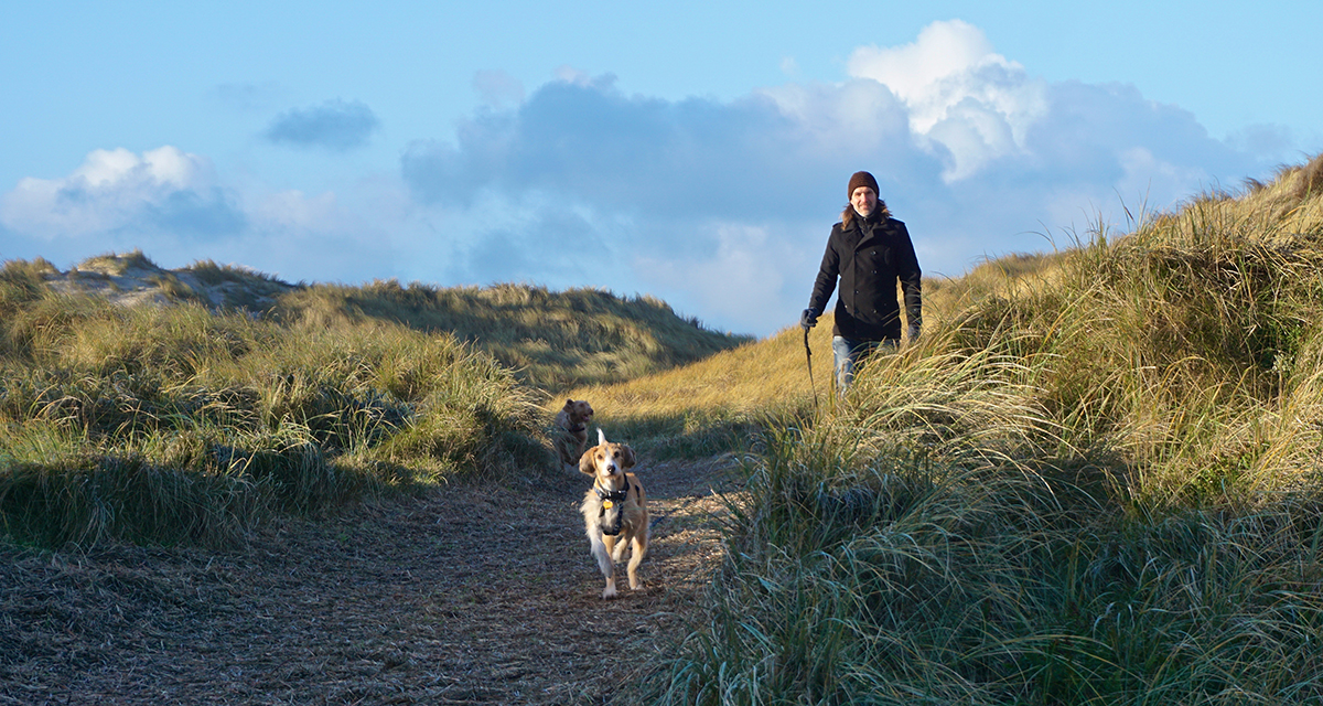 Urlaub mit Hund an der dänischen Nordsee