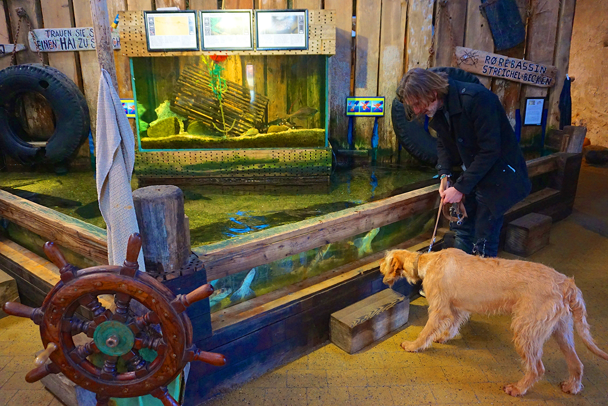 Besuch des Jütland Aquariums mit Hund