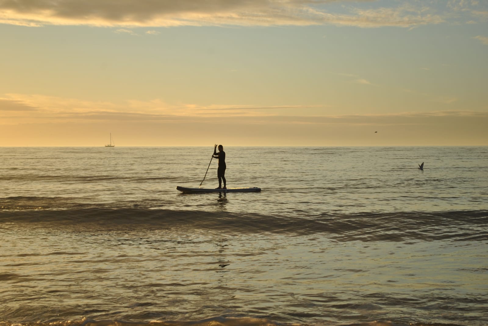 SUP in Dänemark