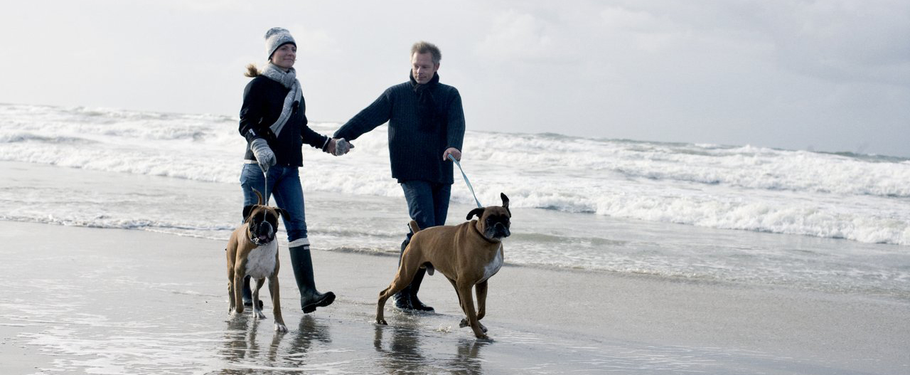 Urlaub mit Hund in Dänemark