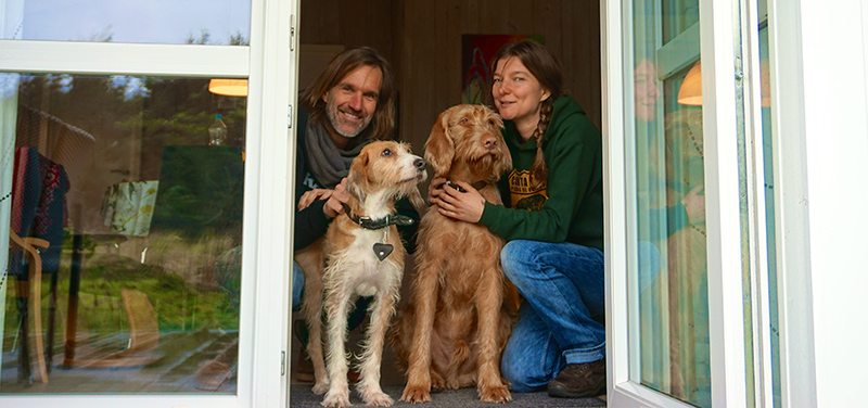 Urlaub mit Hunden in Dänemark an der Nordsee