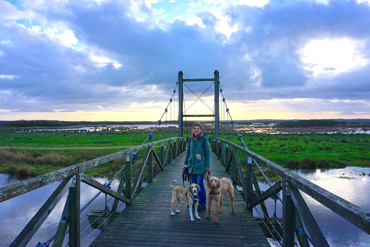 Wandern mit Hunden in der Skjern Enge