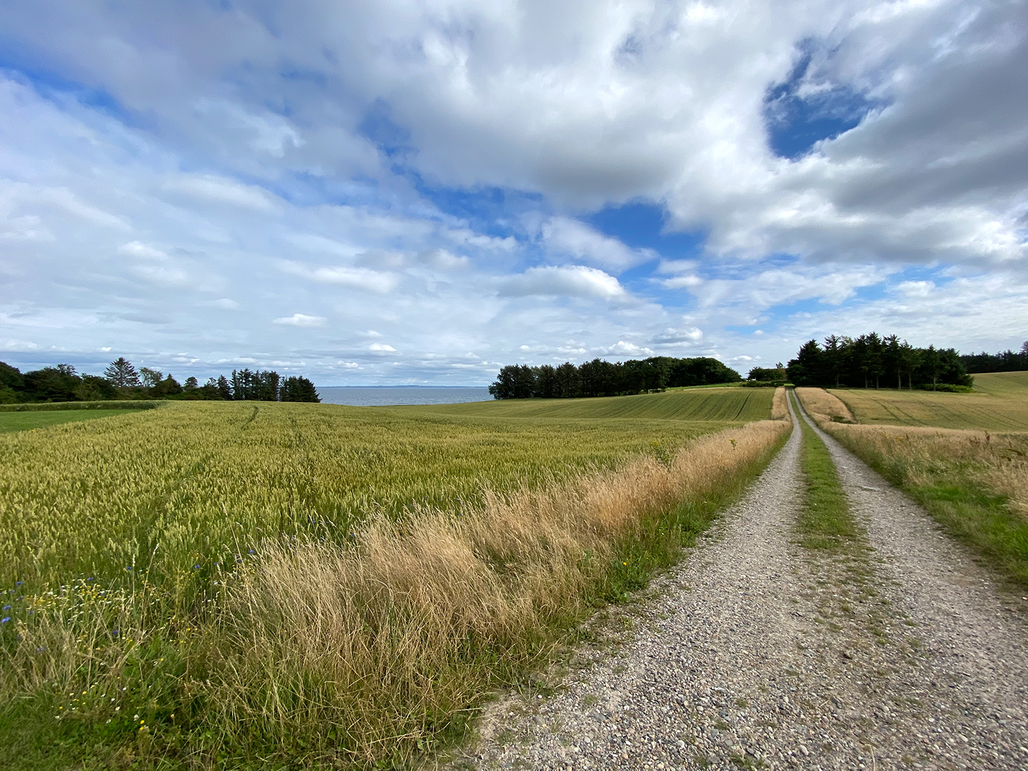 Wege auf Venoe