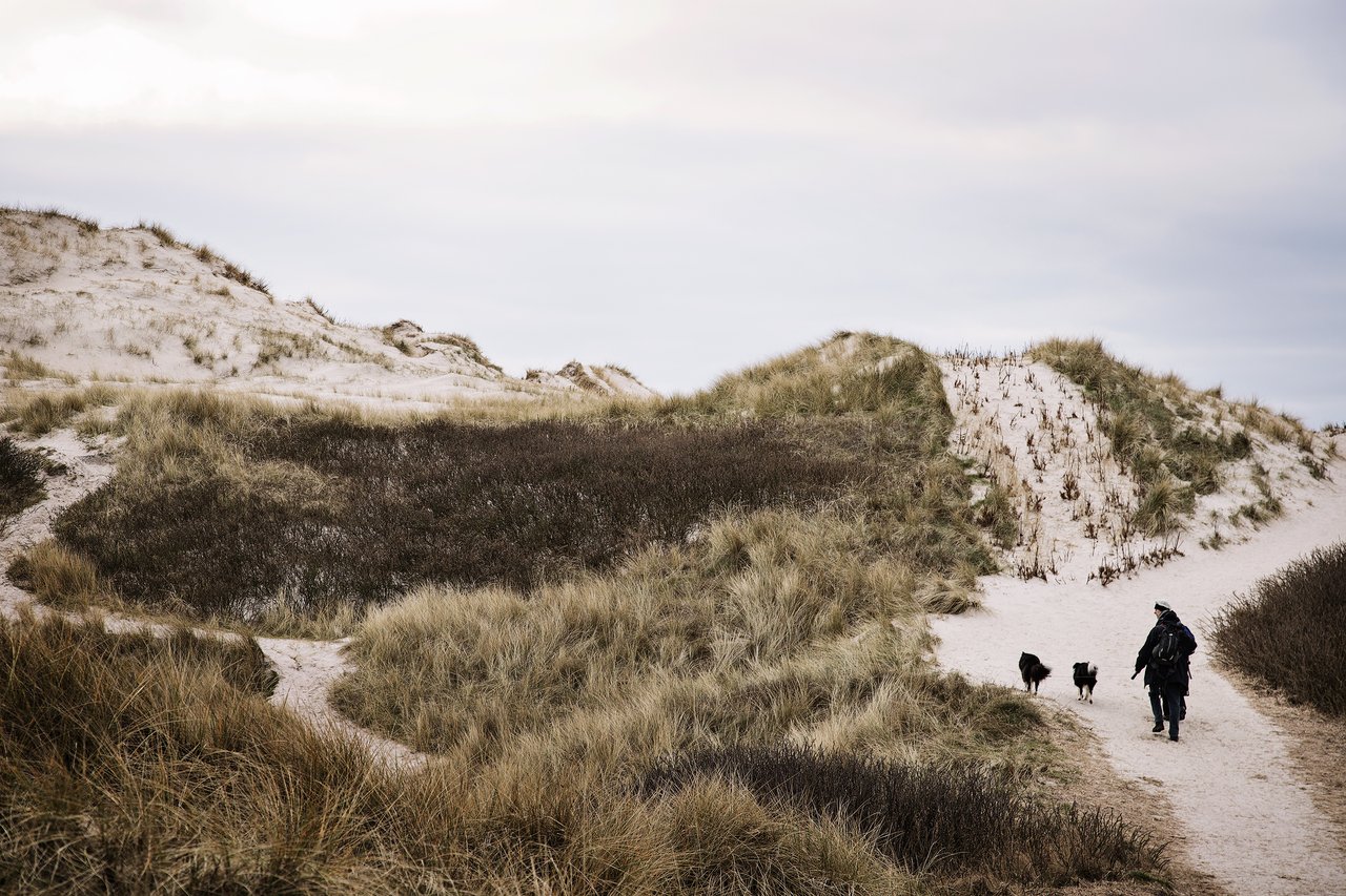 Hundeurlaub an der Nordsee