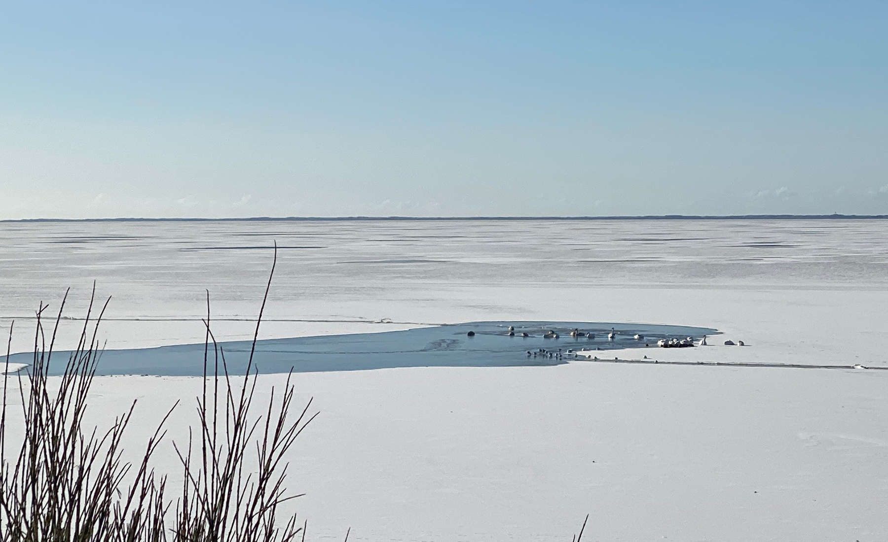 Loch in der Eisfläche des Fjordes