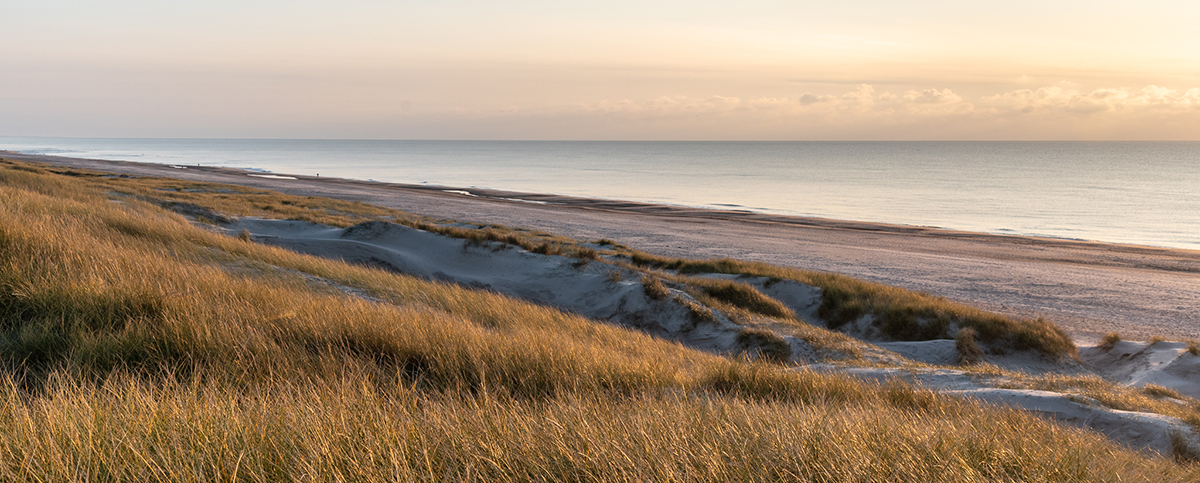 Aargab Strand bei Hvide Sande