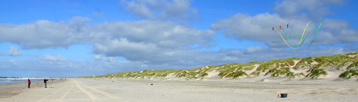 Drachen steigen lassen an der Nordsee