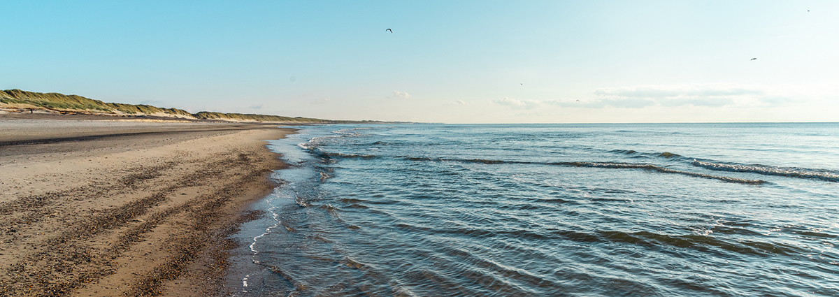 Tierisch in Fahrt in Dänemark