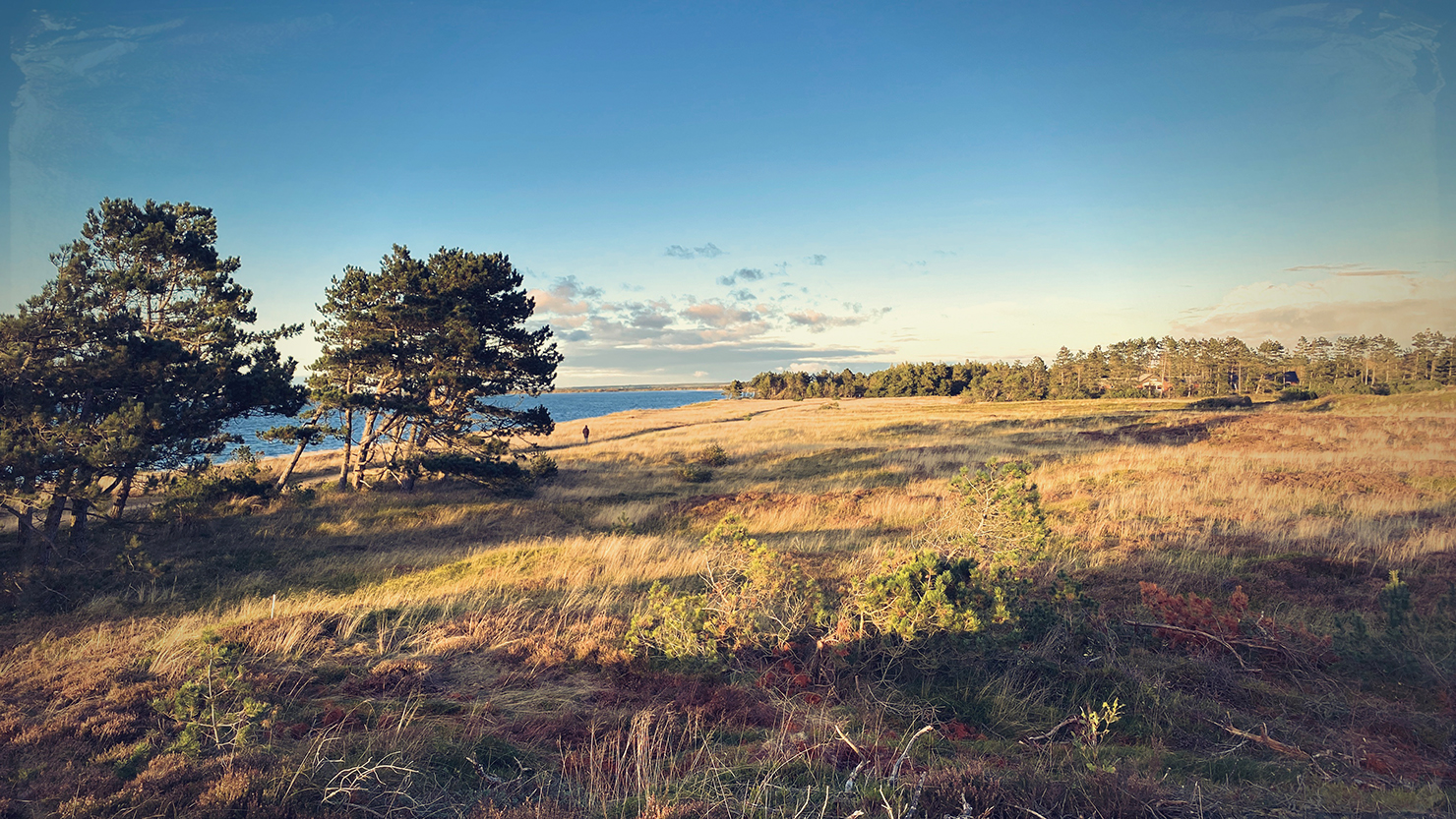 Blick vom Mandsbjerg